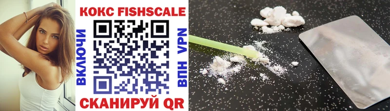 Cocaine FishScale  Славгород 