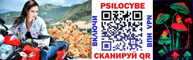 Псилоцибиновые грибы мицелий  МЕГА рабочий сайт  мориарти Telegram  магазин    Славгород 